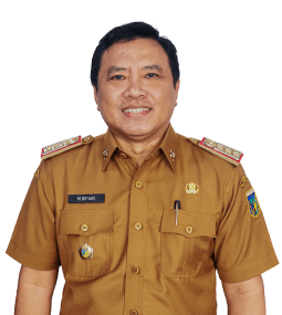 PROFIL WEB - KADIS